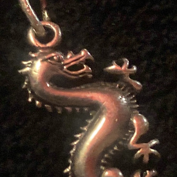 Neon Riot double dragon🐉pants 2XL+925 Italy🐲necklace 16” - Picture 15 of 15